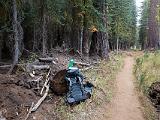 Yosemite 017